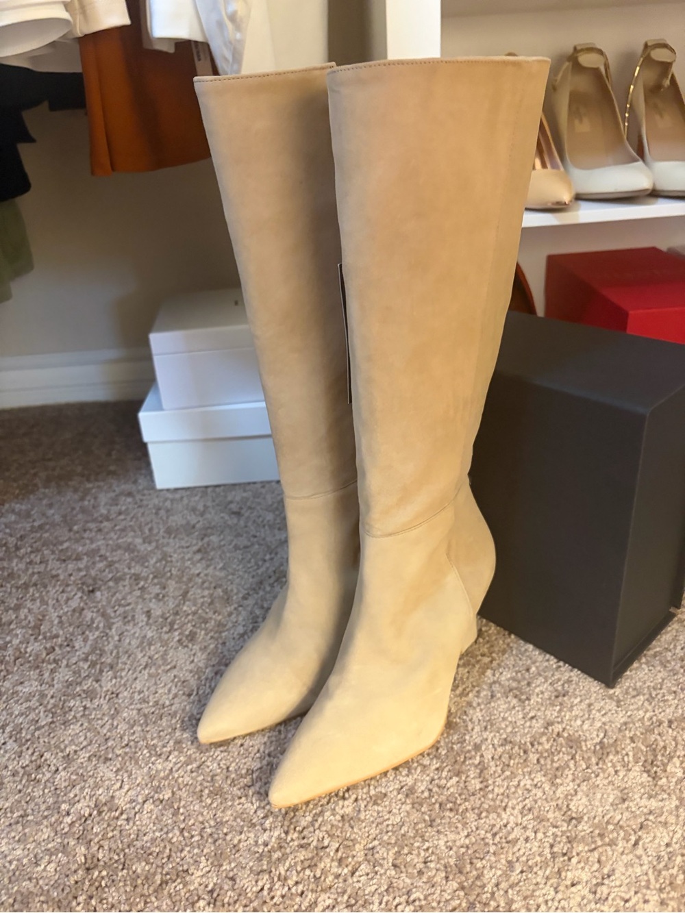 Vince Camuto Tressara Pointed Toe Knee High
Tan Suede Boots- New